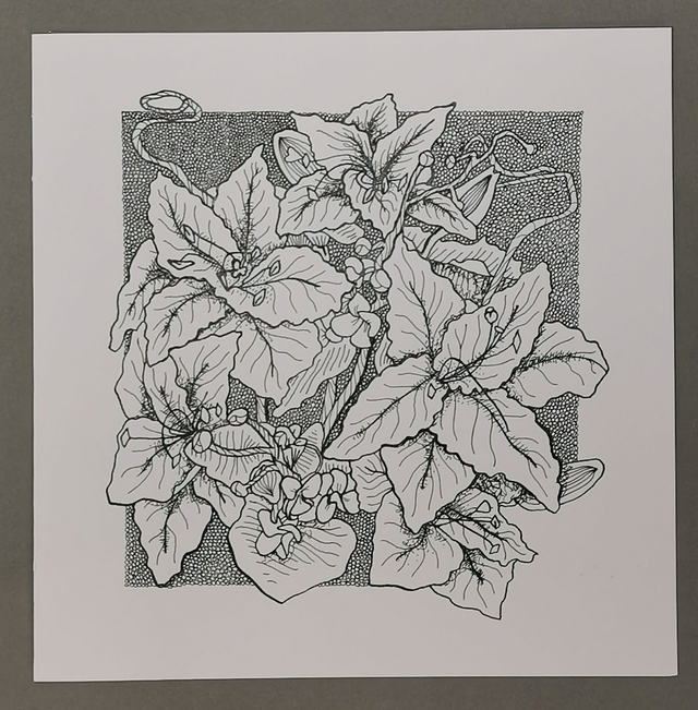 9 Bouquet villa Krabi billes