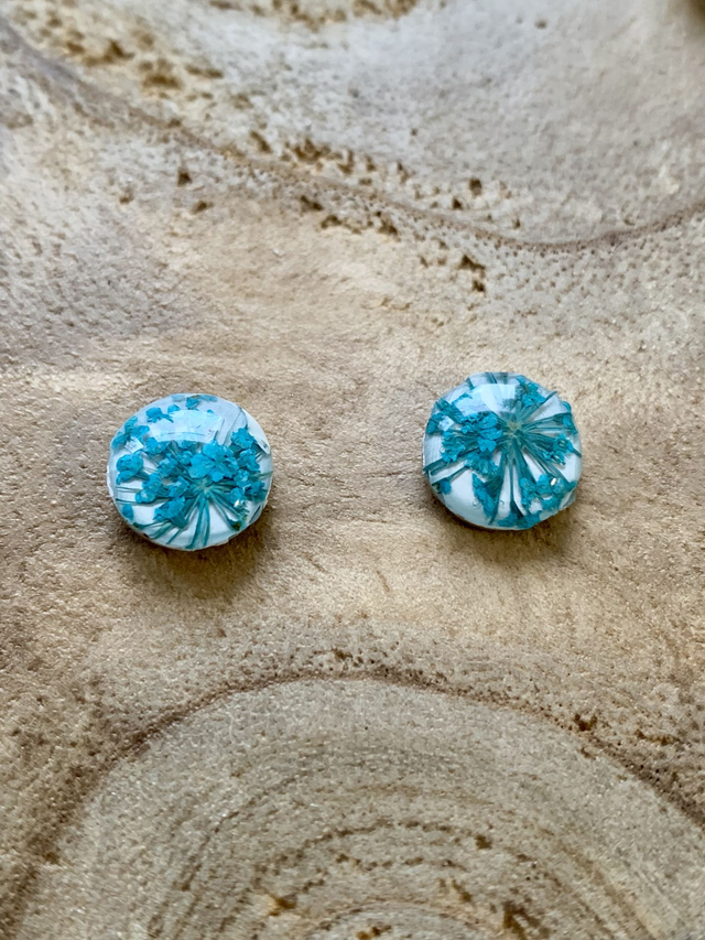 Paire de puces d'oreilles avec fond blanc