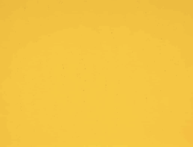 Marigold transparant striker