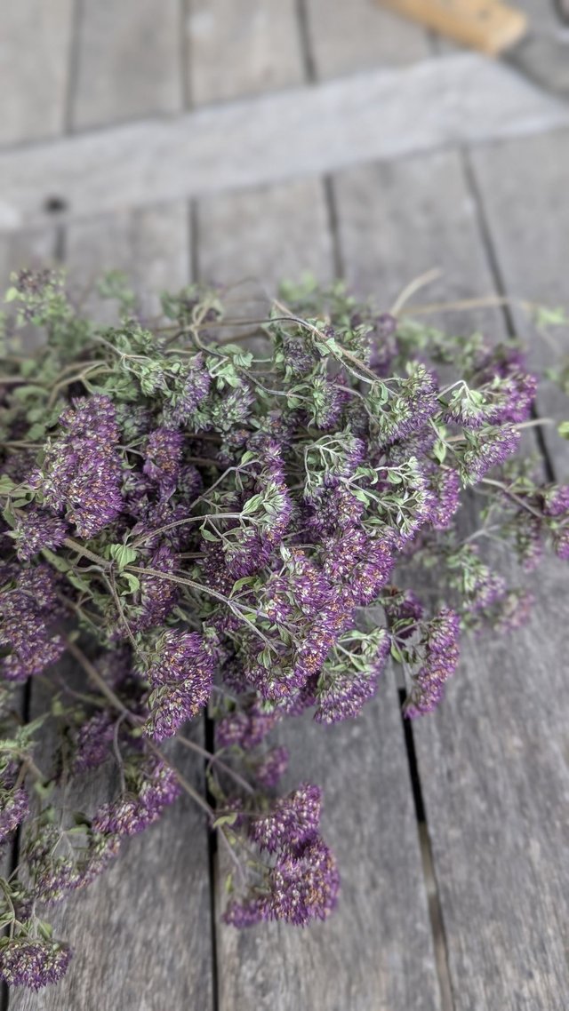 Fleurs séchées d&#039;Origan