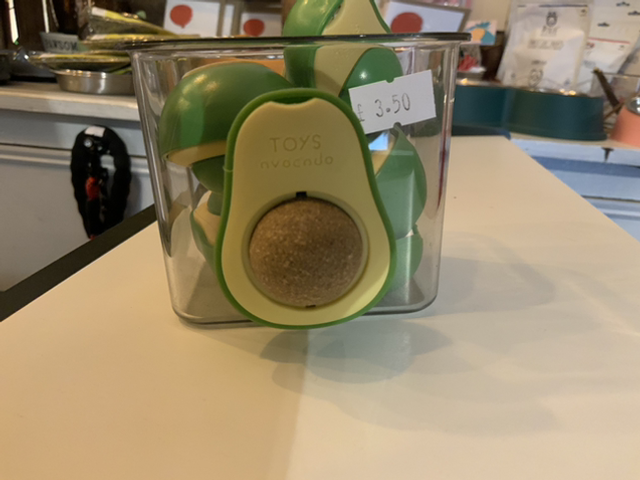 Catnip Avocado