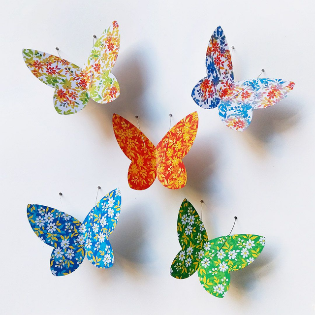 Spécimens série Printemps (lot de 5)