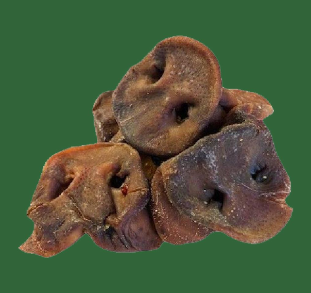 Pigs Snout Disc (2kg)