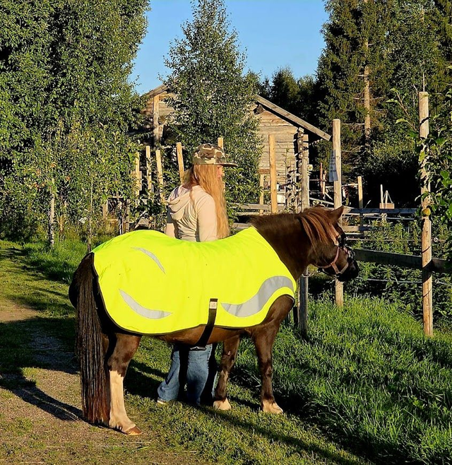 Kävelytysloimi hevoselle, keltainen 110cm - Walker rug for a horse, yellow 110cm