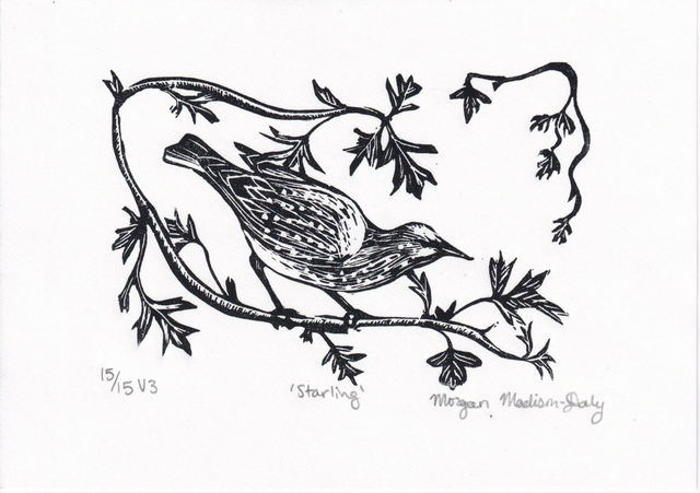 'Starling' Linocut Print
