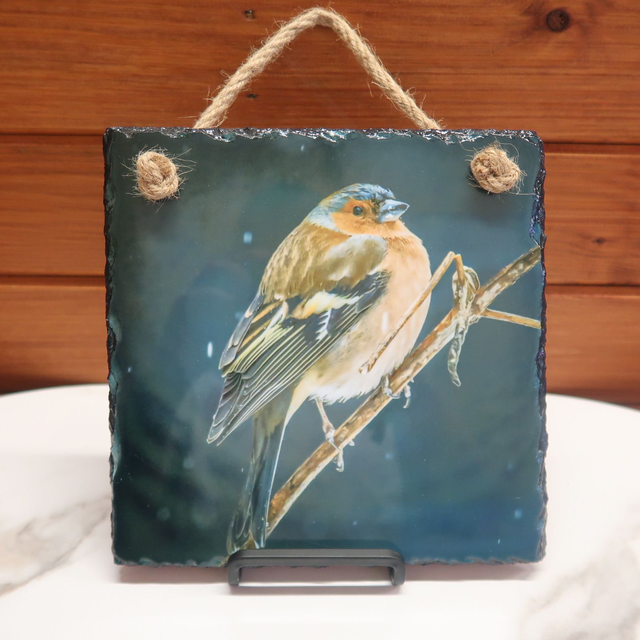 SALE! Photographic Slate