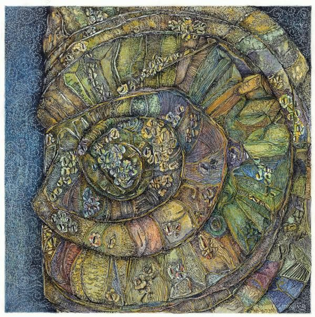 Ammonite