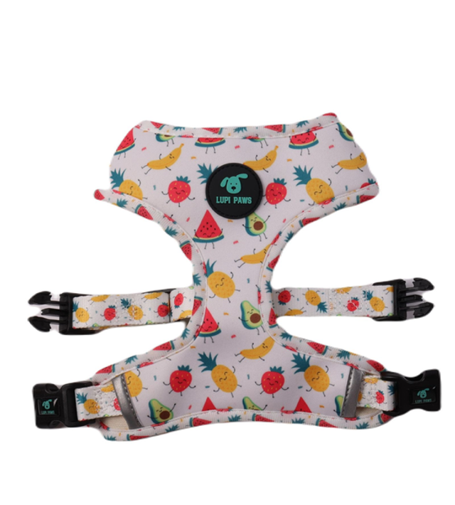 Tutti Frutti Reversible Harness (Lupi Paws)