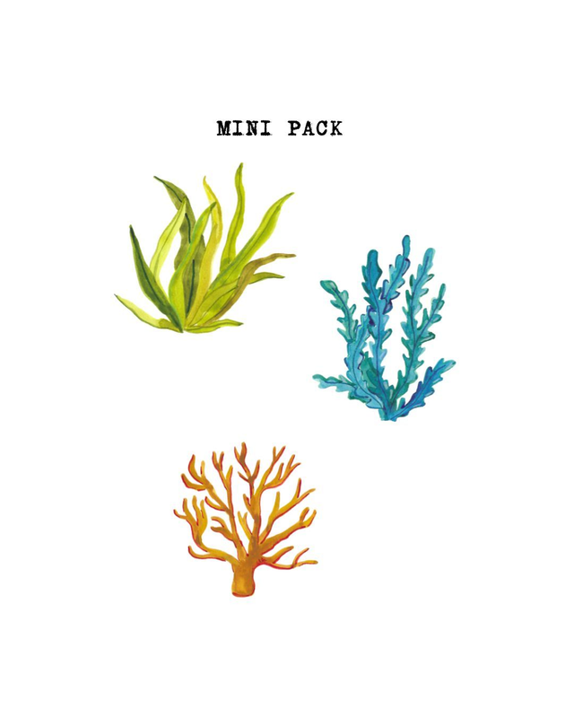 Mini pack de stickers algues 
