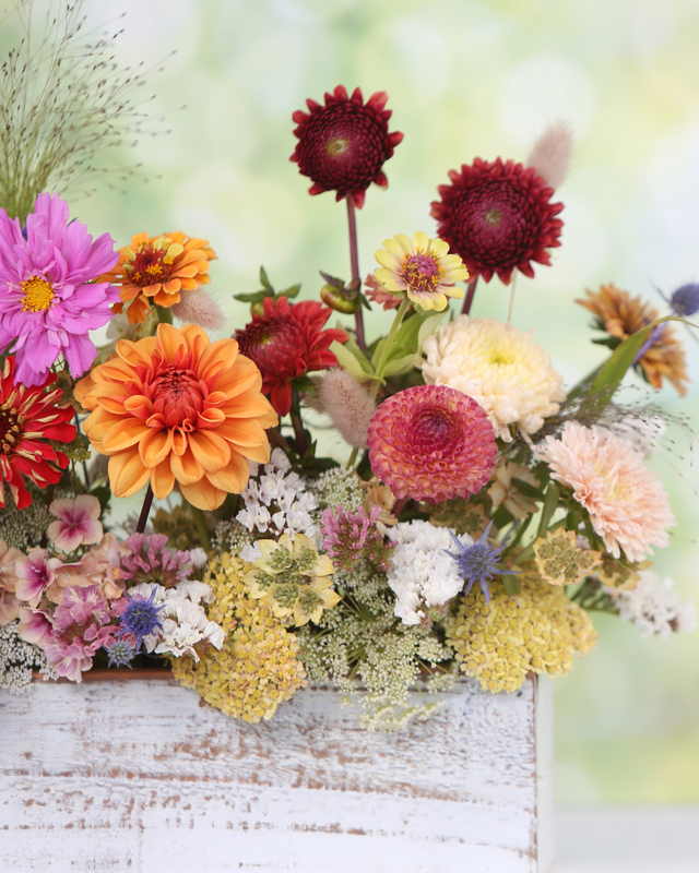 Workshop 'Blumengesteck'