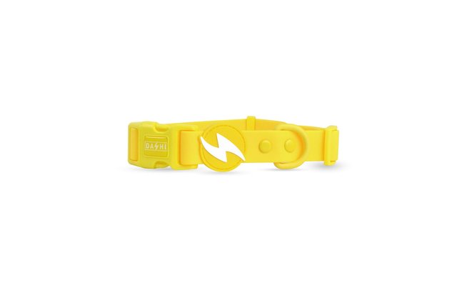 ColorFlex Yellow collar
