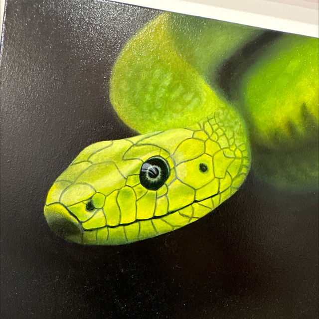 Come Closer - Chrissie Slade