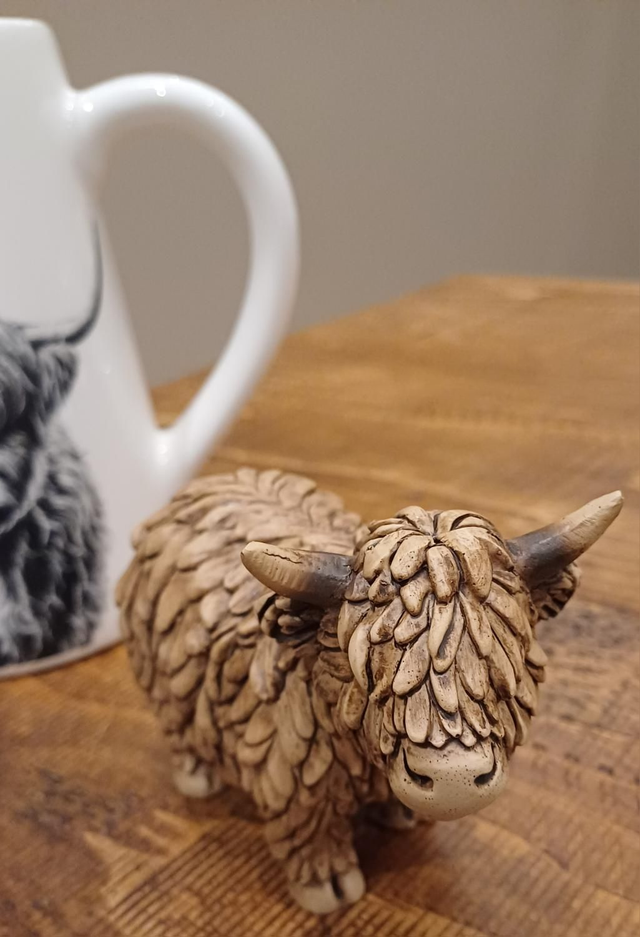 Little Highland Cow 