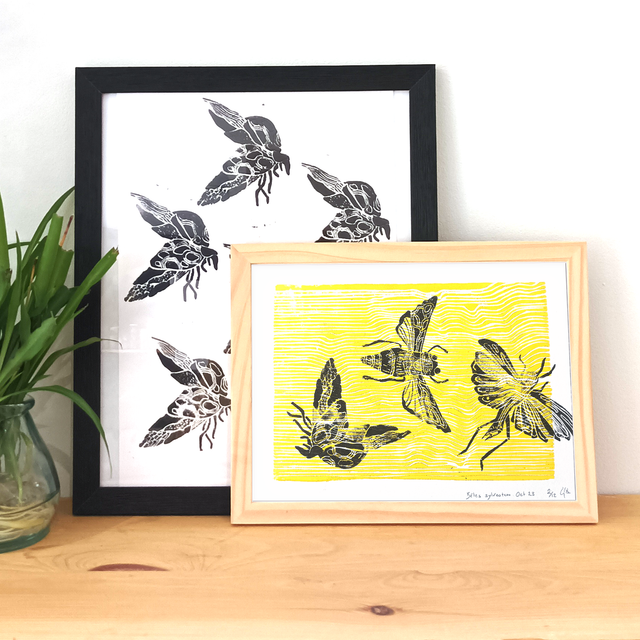 Bêtes sylvestres A5+ 2/12