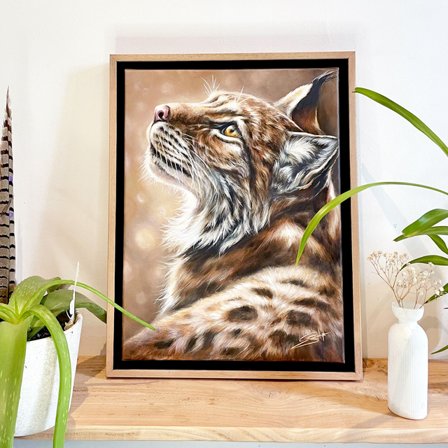 Lynx « Réminiscence »