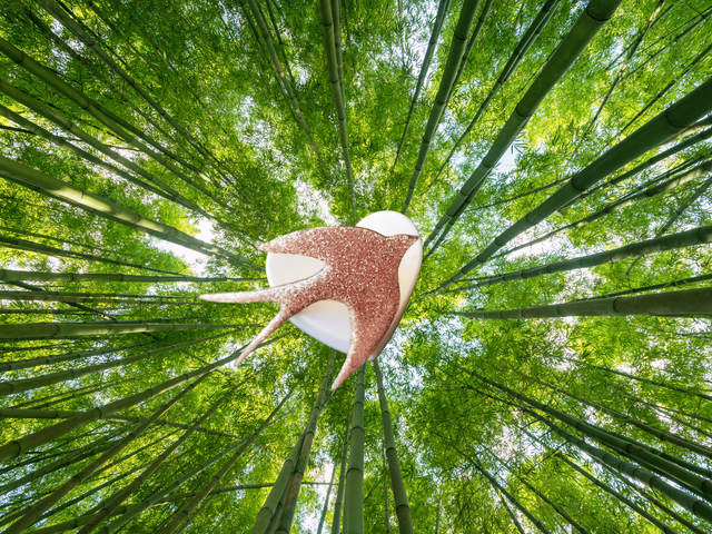 Pin’s Hirondelle – bois &amp; paillettes or