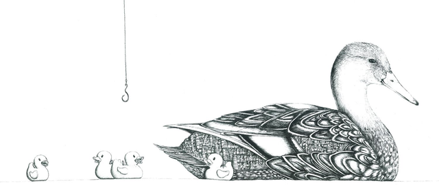 Canard - Edition Art