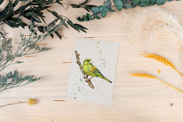 Graspapierkarte - Grünfink