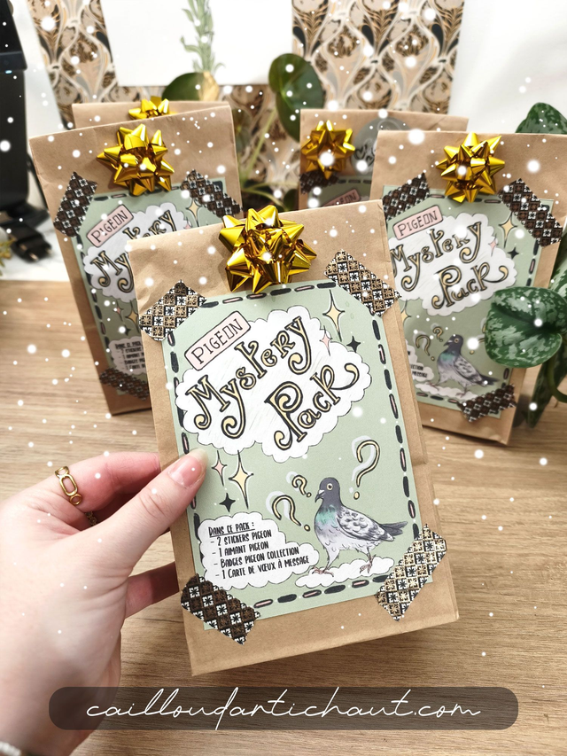 Pack mystère de Noël - édition limitée spéciale pigeon