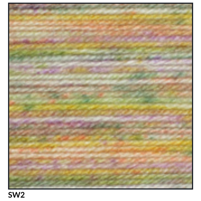 Stonewash DK SW2 Spring Mix