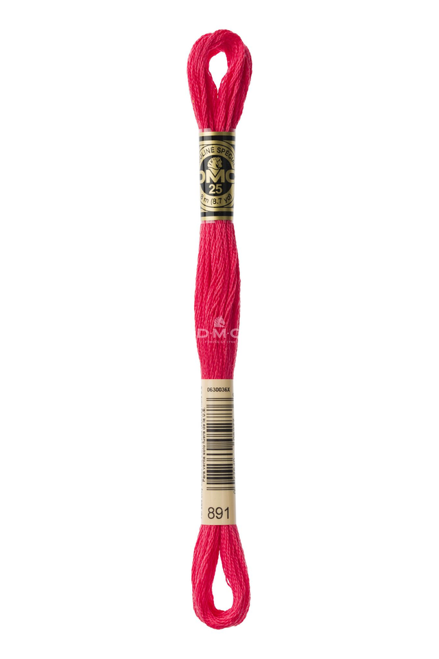 N°891 Mouliné Spécial DMC
