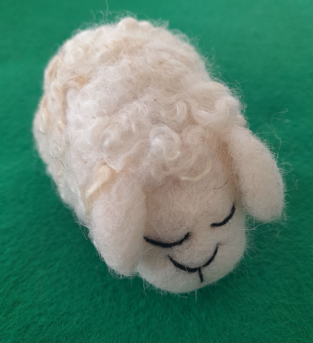 Sheep