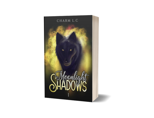 BROCHÉ MOONLIGHT SHADOWS T1 