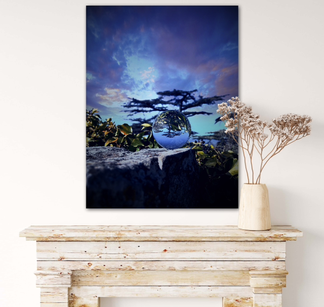 Arbre de Bonnieux / ultraviolet 