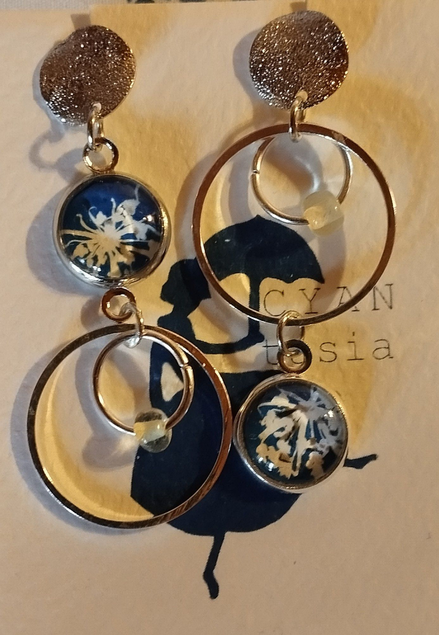 Paire de boucles d&#039;oreilles