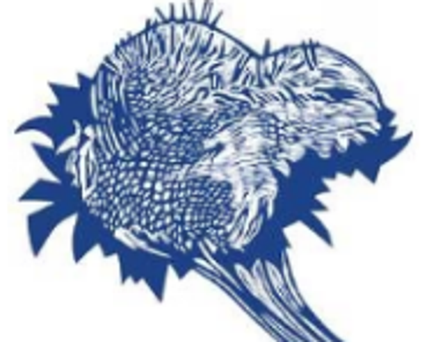 Carte motif Méduse Bleu ciel