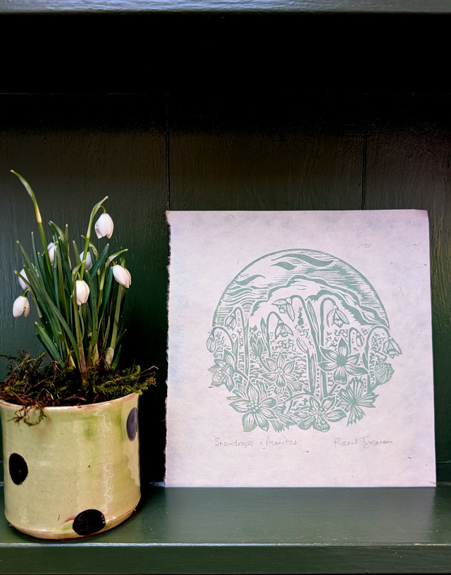 Snowdrops &amp; Winter Aconites