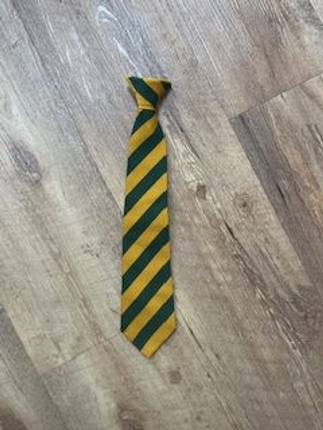 Clip on Tie