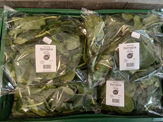 Verse Spinazie 