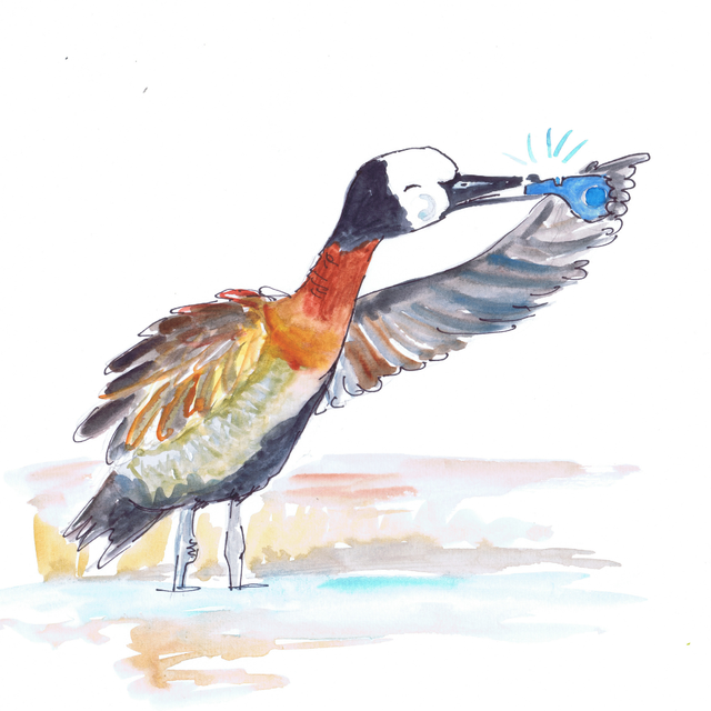 Whistling Duck Original Illustration