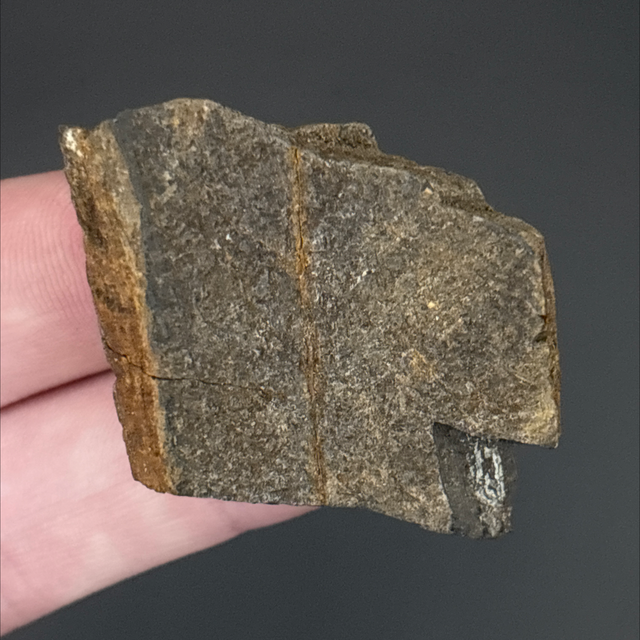 Hypacrosaurus Bone Fragment 