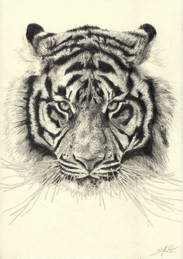 Prints van diverse portretten - A4