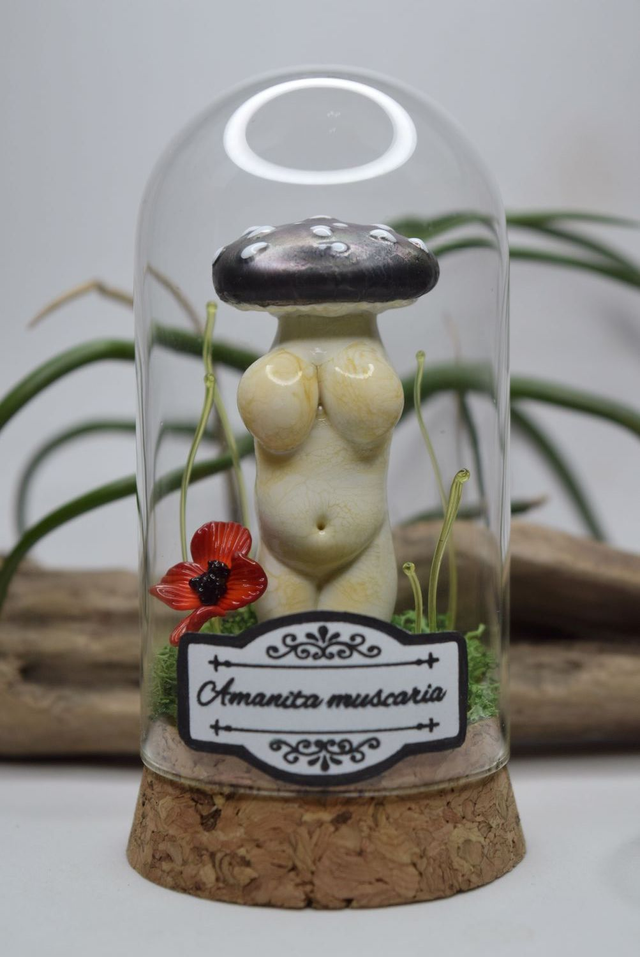 AMANITA MUSCARIA SOUS VERRE 