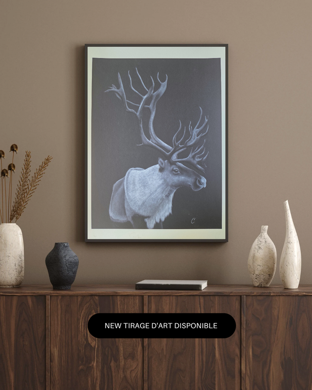 Caribou - Edition Fine Art