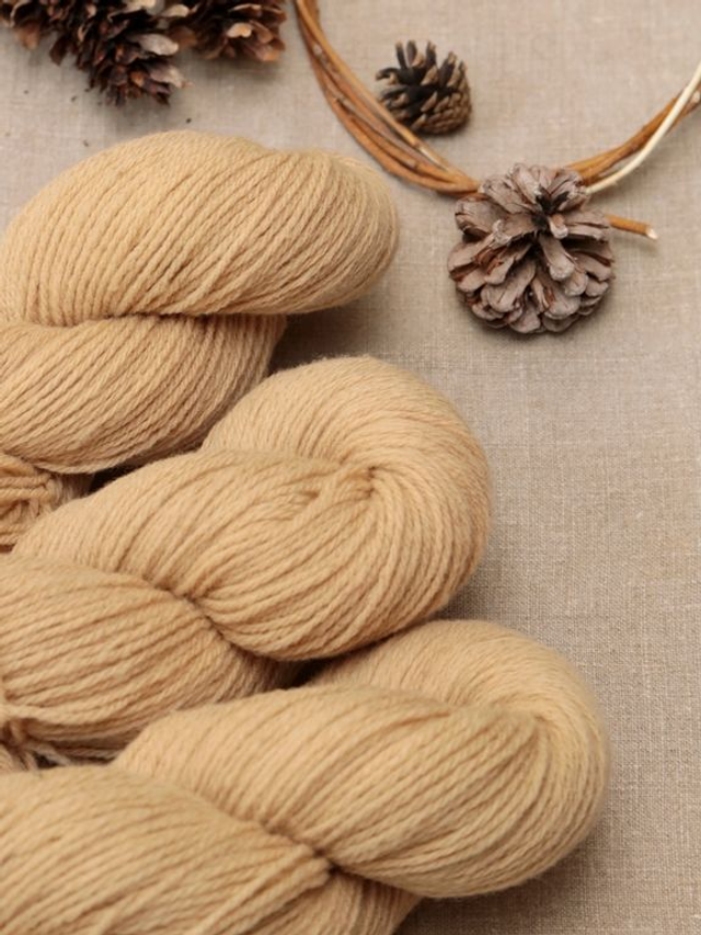 Coffret Tricot "Le Bonnet" - Unicolore