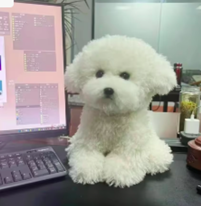 Realistische lieve hond knuffel Bichon (35cm)