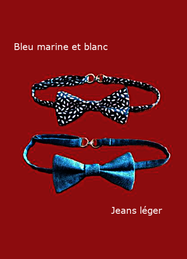 Noeud papillon