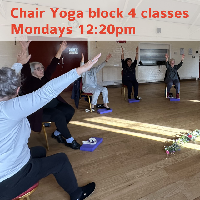 Chair yoga block of four