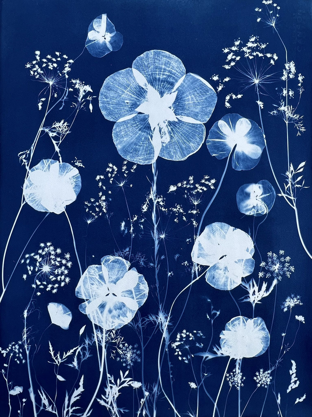 &quot;Un éden bleu&quot; Cyanotype original 