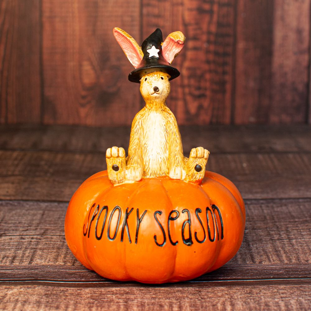 Rabbit Sat On Pumpkin