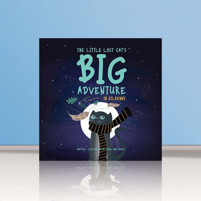 Little Lost Cat Big Adventure  Book