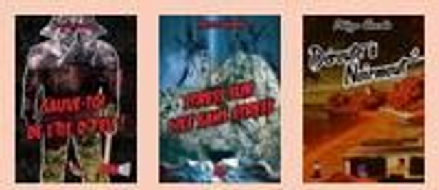 P. GOURDIN  SAGA policières lot de 3 livres 