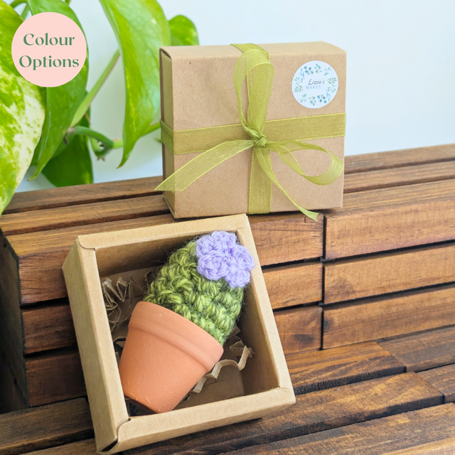 Mini Crochet Cactus in Gift Box