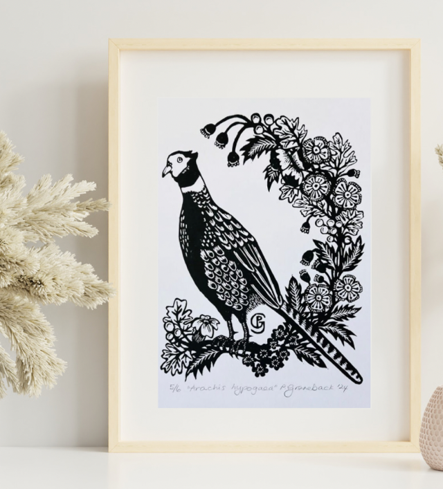 Panida G - Arachis Hypogaea (limited edition of 6)