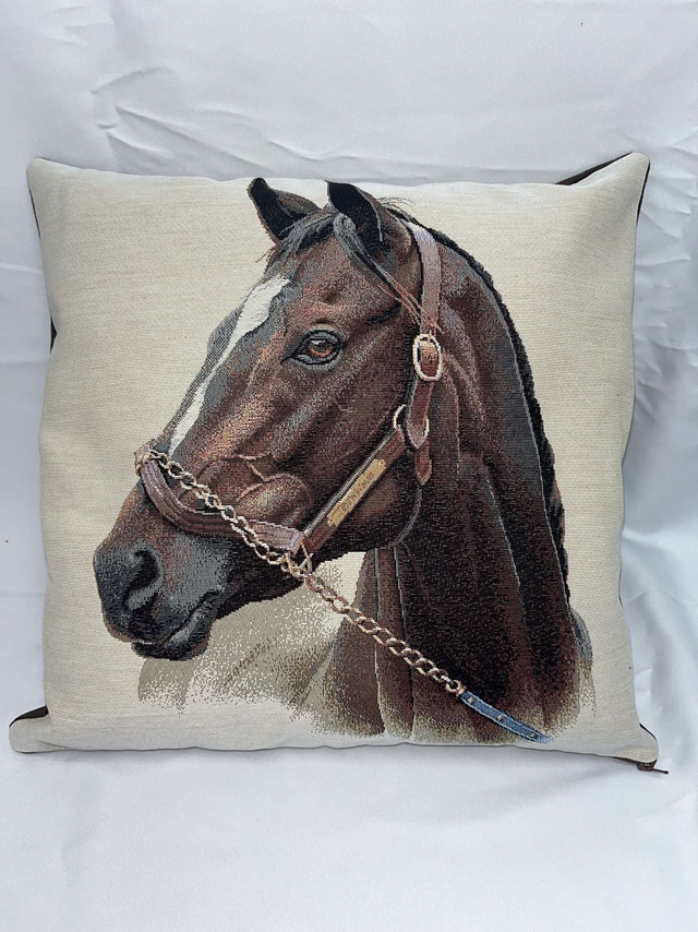 Coussin jacquard