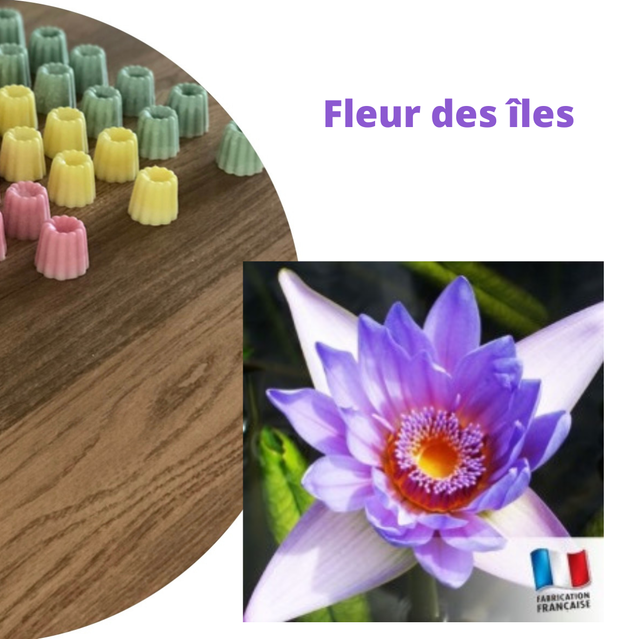 Fleur des iles